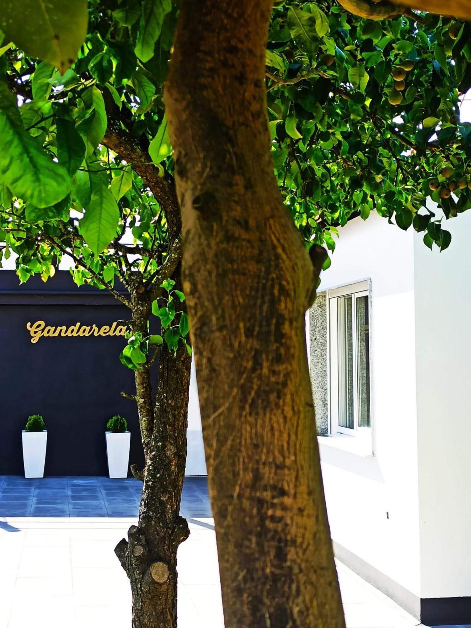 Apartamentos Vut Gandarela Sanxenxo Exteriör bild